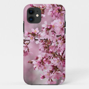 Sakura Kirschblüten Pastellrosa Schichten iPhone 11 Hülle