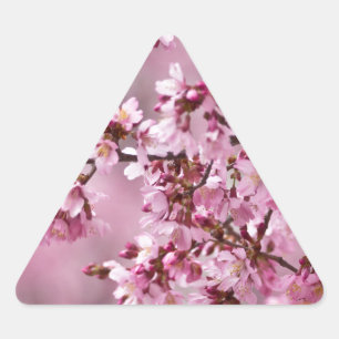 Sakura Kirschblüten Pastellrosa Schichten Dreieckiger Aufkleber