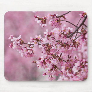 Sakura Kirschblüten Pastellrosa Schichten Mousepad