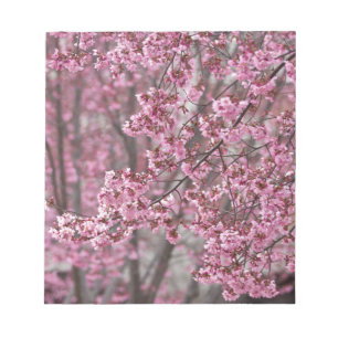 Sakura Kirschblüten pink Notizblock