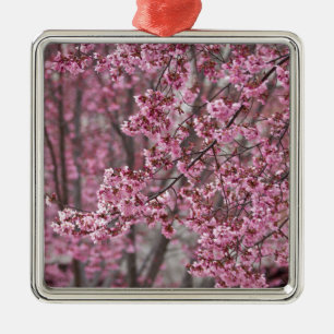 Sakura Kirschblüten pink Silbernes Ornament