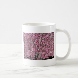 Sakura Kirschblüten pink Tasse