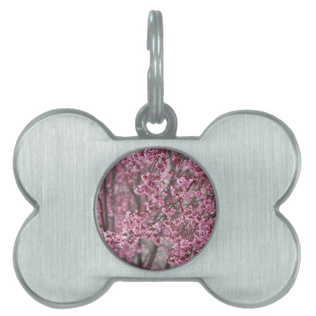 Sakura Kirschblüten pink Tiermarke (Vorderseite)