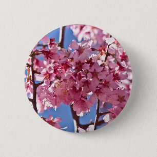 Sakura Kirschblüten Rote Sterne Button