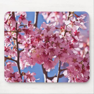 Sakura Kirschblüten Rote Sterne Mousepad