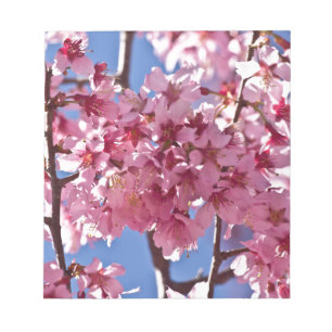 Sakura Kirschblüten Rote Sterne Notizblock