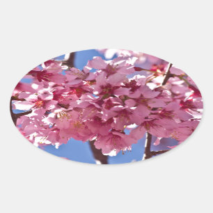 Sakura Kirschblüten Rote Sterne Ovaler Aufkleber