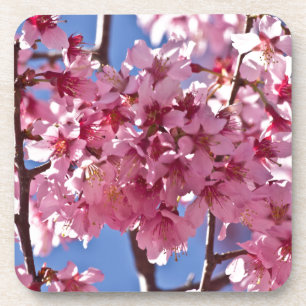 Sakura Kirschblüten Rote Sterne Untersetzer
