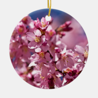 Sakura Kirschblüten von Sonnenlicht geküsst Keramikornament