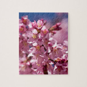 Sakura Kirschblüten von Sonnenlicht geküsst Puzzle