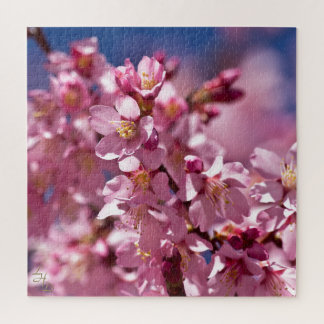 Sakura Kirschblüten von Sonnenlicht geküsst Puzzle