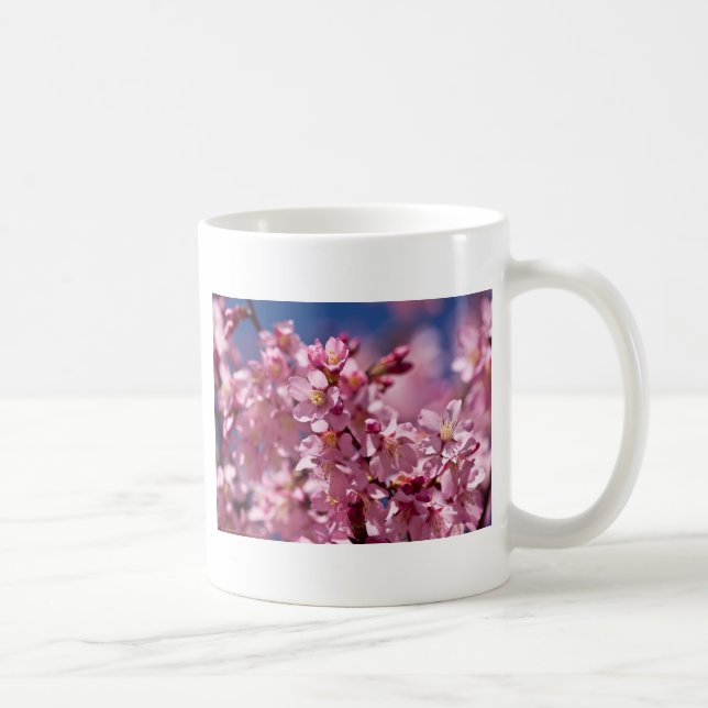 Sakura Kirschblüten von Sonnenlicht geküsst Tasse (Rechts)
