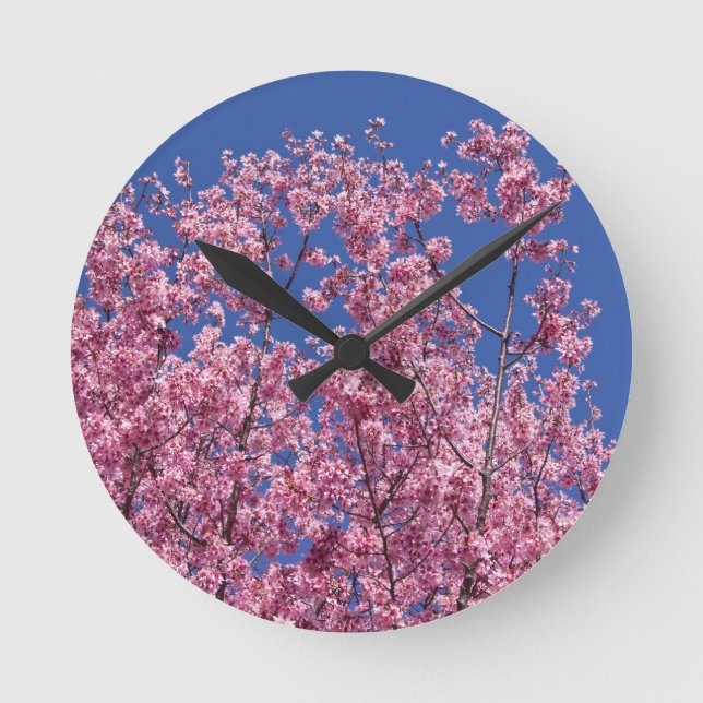Sakura Kirsche blüht in Blau Runde Wanduhr (Vorderseite)