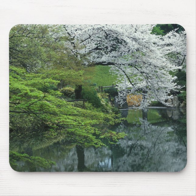 Sakura, Koishikawa Koraku-en Garden, Tokio Mousepad (Vorne)