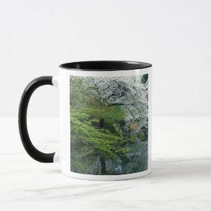 Sakura, Koishikawa Koraku-en Garten, Tokio, Tasse