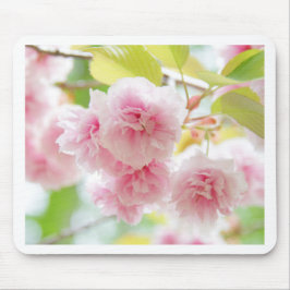sakura mousepad
