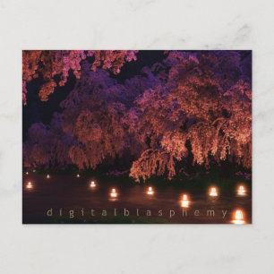 Sakura (Nacht) Postkarte