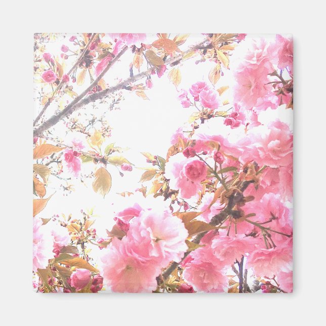 Sakura Pink Blume Cherry Blossom Blumenmuster Magnet (Vorne)