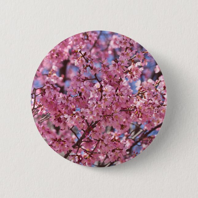 Sakura Pink Cherry Blossom Sky Button (Vorderseite)