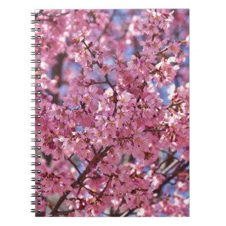 Sakura Pink Cherry Blossom Sky Notizblock