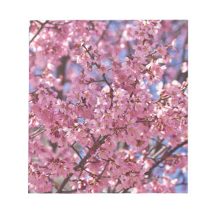 Sakura Pink Cherry Blossom Sky Notizblock
