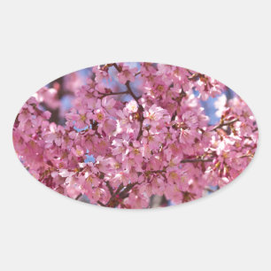 Sakura Pink Cherry Blossom Sky Ovaler Aufkleber