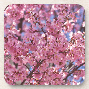 Sakura Pink Cherry Blossom Sky Untersetzer