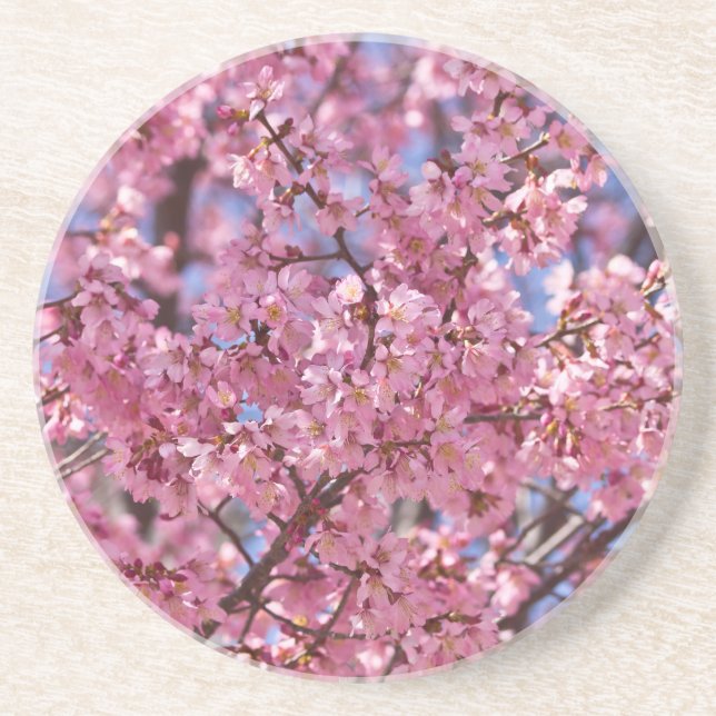 Sakura Pink Cherry Blossom Sky Untersetzer (Vorne)