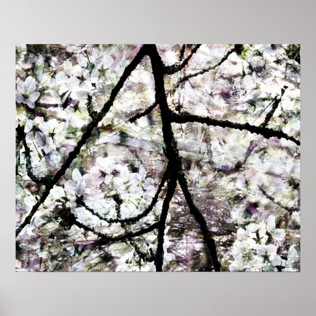 Sakura Poster (Vorne)