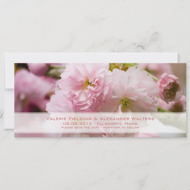 Sakura • Rettet das Datum Ankündigung (Vorderseite)