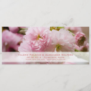 Sakura • Rettet das Datum Ankündigung