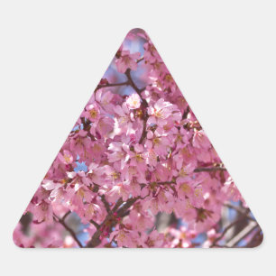 Sakura Rosa Kirschblütenhimmel Dreieckiger Aufkleber