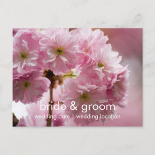 Sakura ・ Save the Date Postkarte