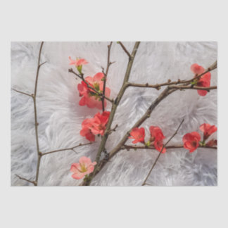 Sakura Seidenpapier