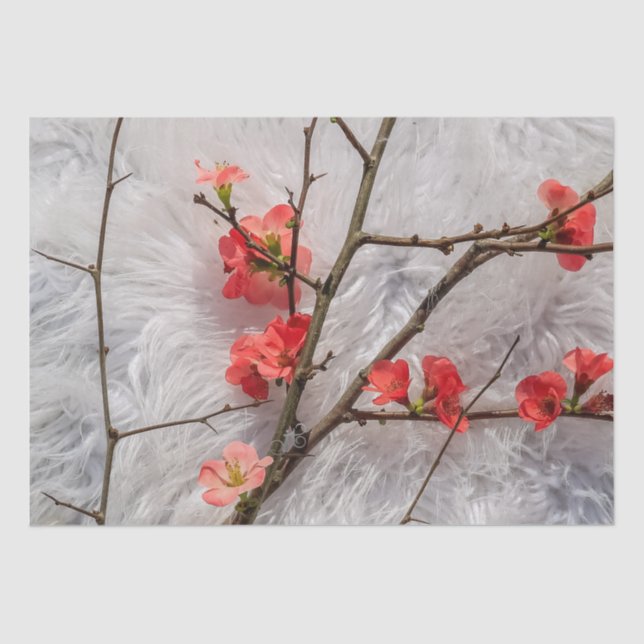 Sakura Seidenpapier (Vorderseite)