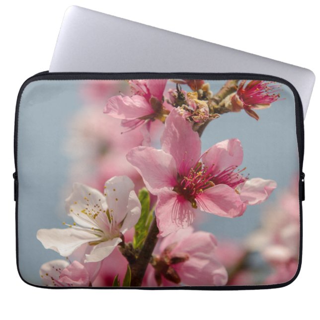 Sakura Splendor: Rosa japanische Blumenfotografie Laptopschutzhülle (Vorderseite)