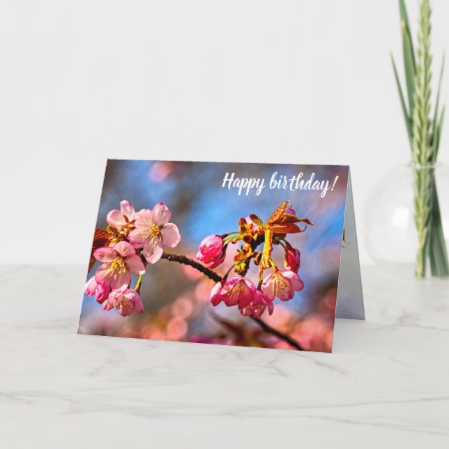 Sakuraknospen sind bereit zu öffnen und im Frühlin Karte (Vorderseite)