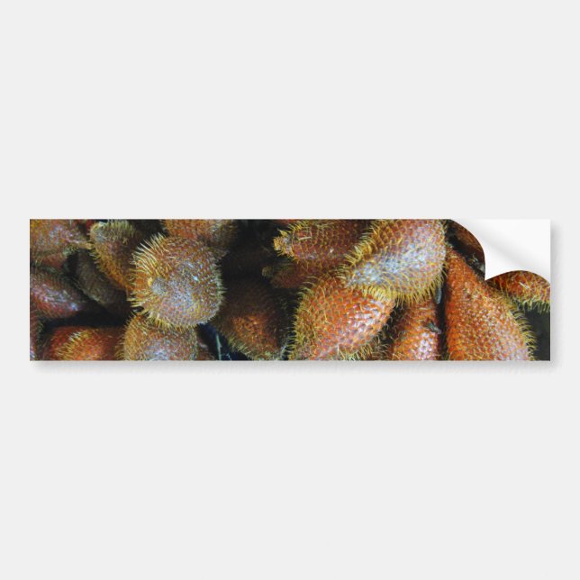 Salak [Schlangenfrucht] Autoaufkleber (Vorne)