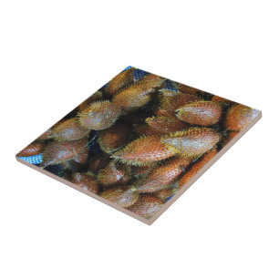 Salak [Schlangenfrucht] Fliese