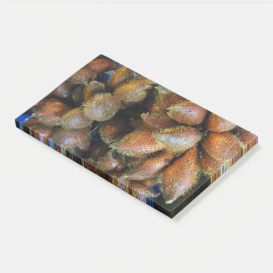Salak [Schlangenfrucht] Post-it Klebezettel