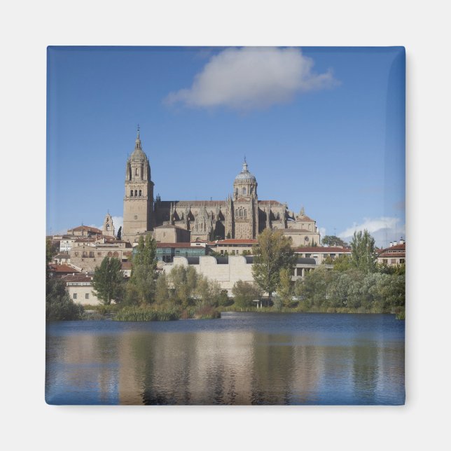 Salamanca Kathedralen und Stadt Magnet (Vorne)