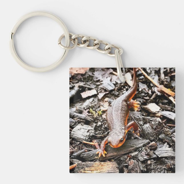Salamander im Wald, Oregon Schlüsselanhänger (Vorderseite)