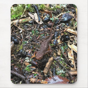 Salamander im Wald, Washington Mousepad