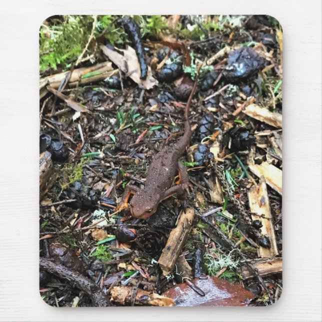 Salamander im Wald, Washington Mousepad (Vorne)