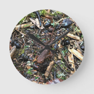 Salamander im Wald, Washington Runde Wanduhr