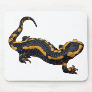 Salamander Mouse Mat Mousepad