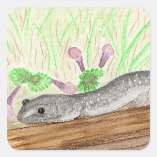 Salamander Quadratischer Aufkleber (Vorderseite)