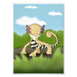 Salamandra Fotodruck