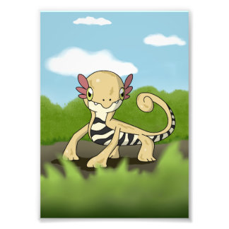 Salamandra Fotodruck