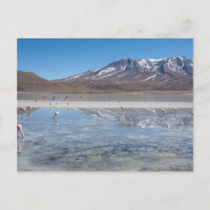 SALAR DE UYUNI SALT FLAT, BOLIVIEN POSTKARTE